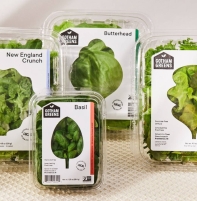 Địa chỉ in tem nhãn Gò Vấp uy tín, giá rẻ nhất thị trường