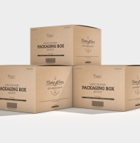 Dịch vụ làm hộp carton theo yêu cầu – In logo, thiết kế riêng