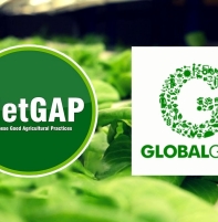 Trọn bộ mẫu tem nhãn nông sản đạt chuẩn VietGAP GlobalGAP