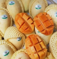 Tem QR truy xuất nguồn gốc trái cây hoạt động như thế nào?