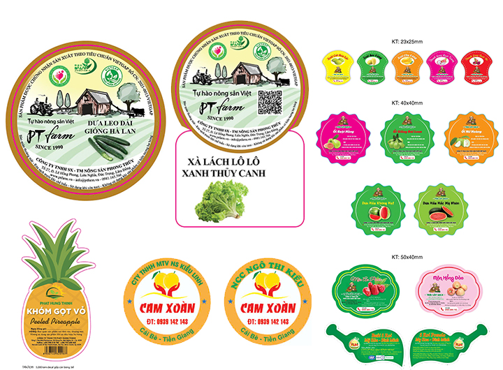 dịch vụ in tem nhãn