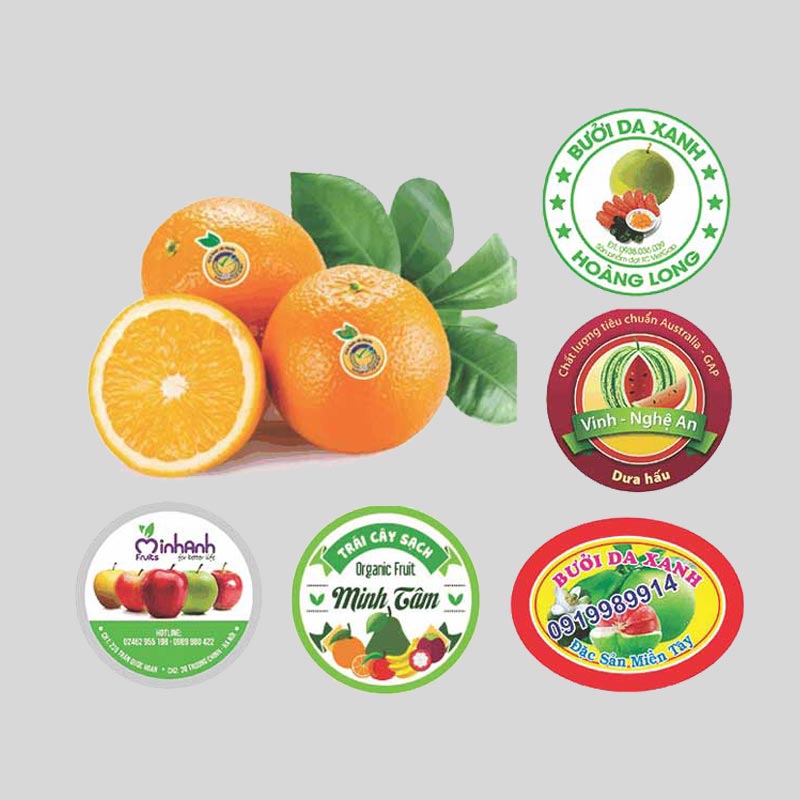 in tem dán trái cây