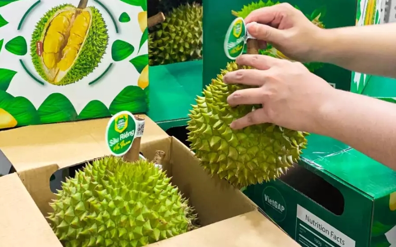 tem dán sầu riêng