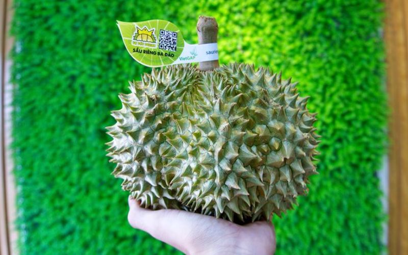 tem dán sầu riêng