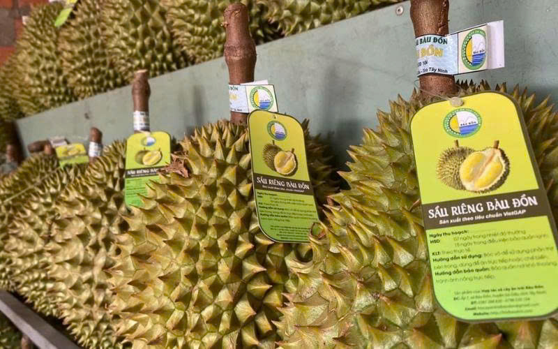 Tem nhãn sầu riêng