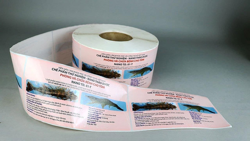 in decal cuộn giá rẻ