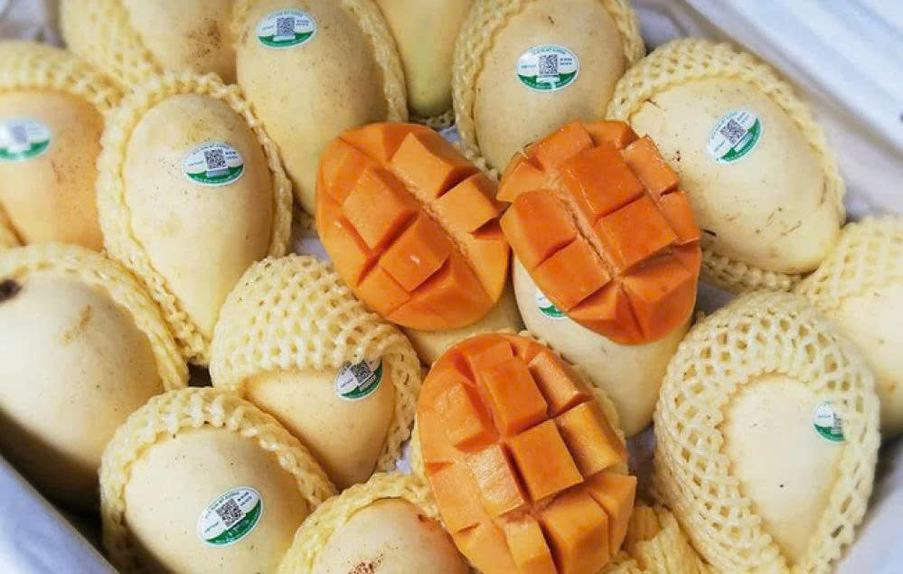 Tem QR truy xuất nguồn gốc trái cây hoạt động như thế nào?