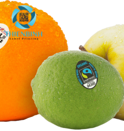Địa chỉ in tem dán trái cây chất lượng, giá rẻ và lấy nhanh