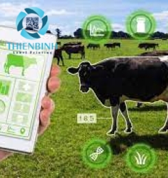 THẺ NHÃN RFID TRONG NGÀNH CHĂN NUÔI