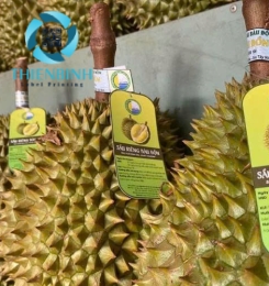 Tem nhãn sầu riêng