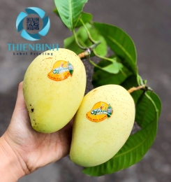 Tem nhãn xoài