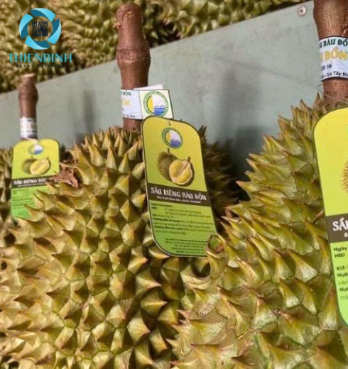 Tem nhãn sầu riêng