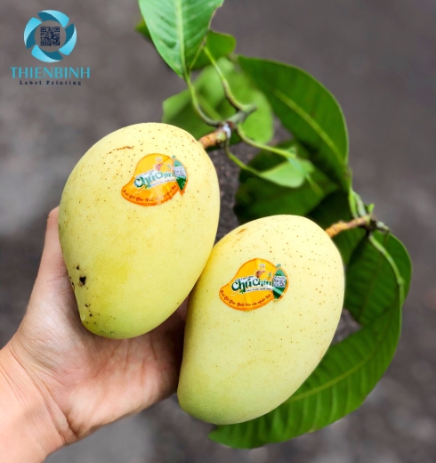 Tem nhãn xoài